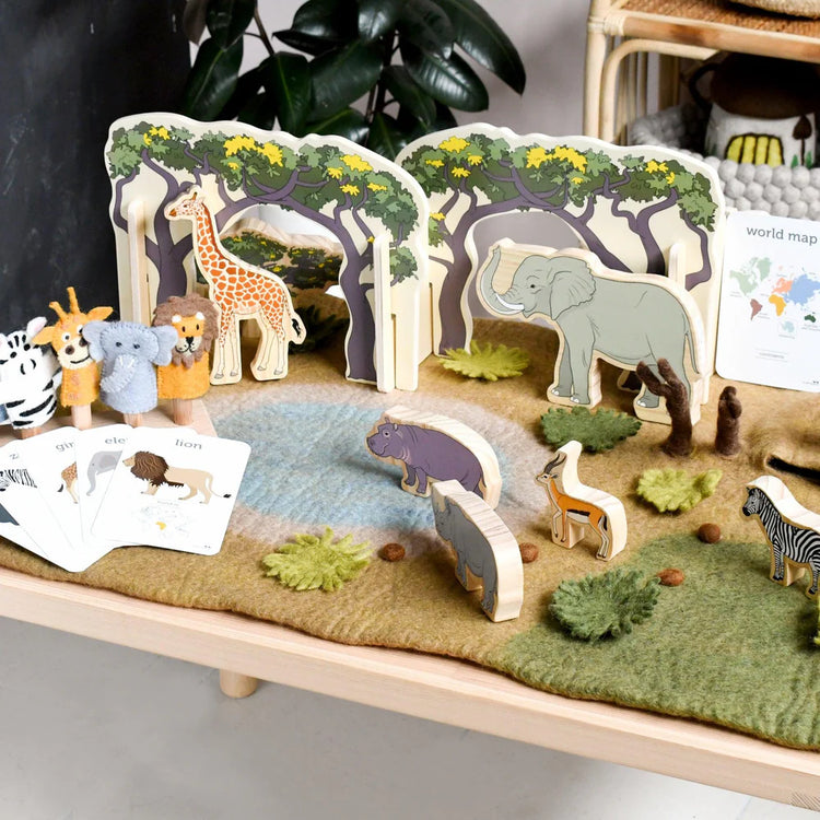 Pretend Play Toys