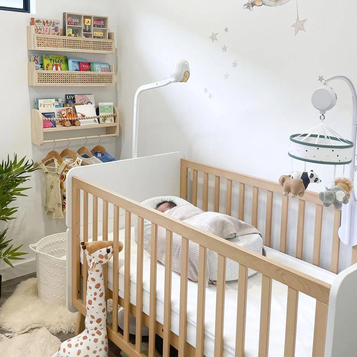 Natty Cot Bed
