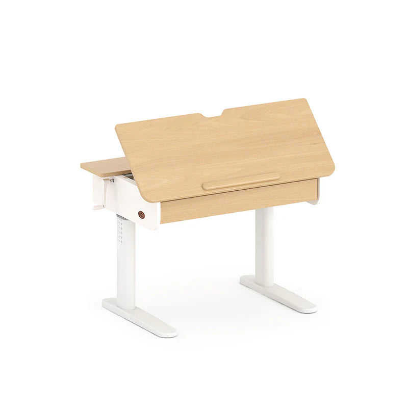 Ergonomic Desk with Pegboard Hutch Package