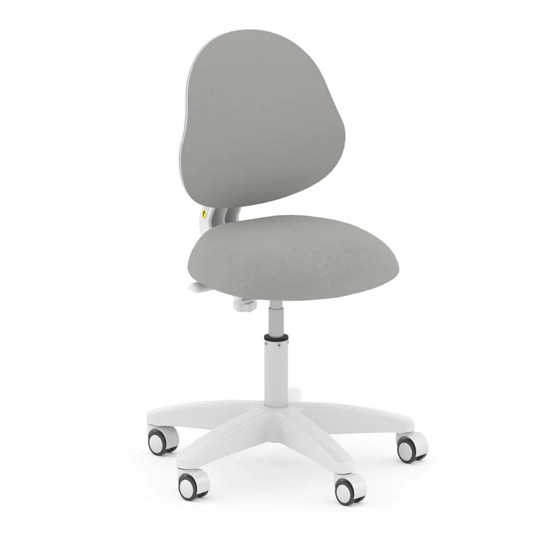 Ergonomic Study Chair