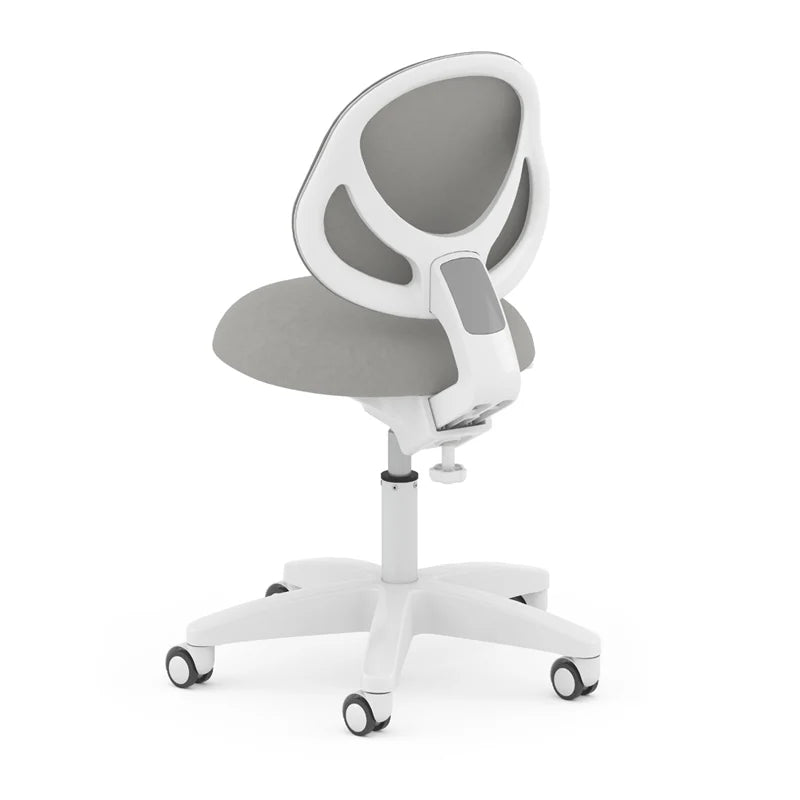 Ergonomic Study Chair