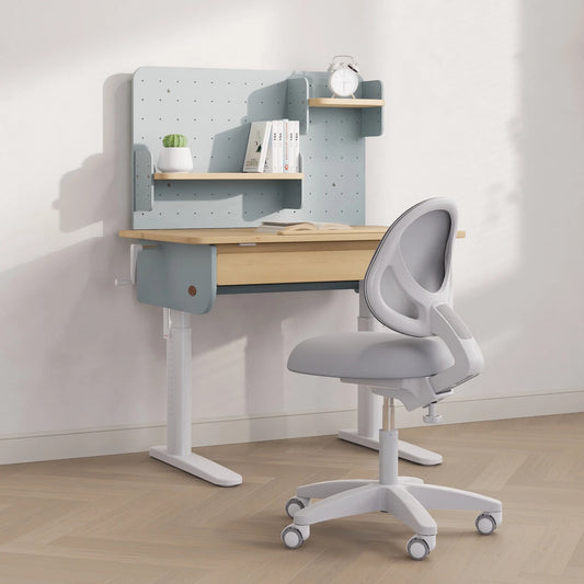 Ergonomic Study Chair