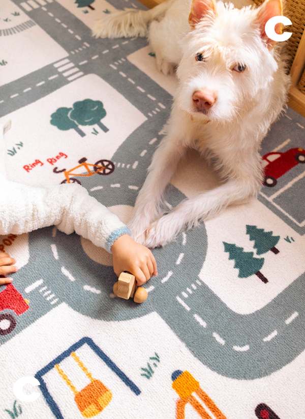Traffic in the City Machine Washable Rug