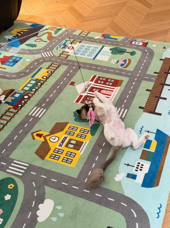 Vroom Paradise Machine Washable Rug